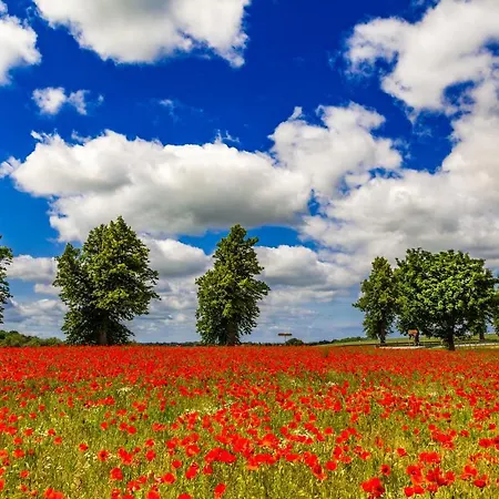 Duene Mit Kamin Und 2 Baedern In Lejlighed