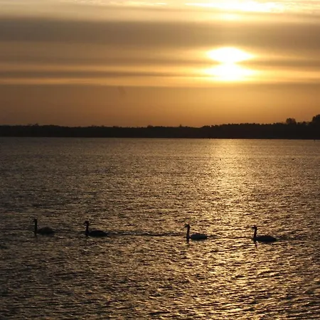 Grosse Mit Kamin, Garten & 2 Baedern Nahe Ostsee