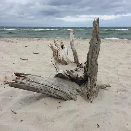 Appartement Grosse Mit Kamin, Garten & 2 Baedern Nahe Ostsee *