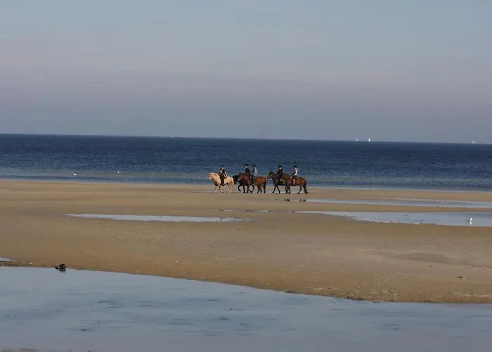 شقة Duene Mit Kamin Und 2 Baedern In بولتينهاجين