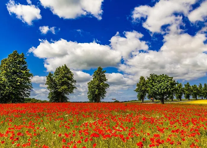 Duene Mit Kamin Und 2 Baedern In شقة