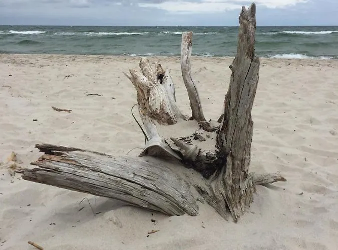 شقة Duene Mit Kamin Und 2 Baedern In *